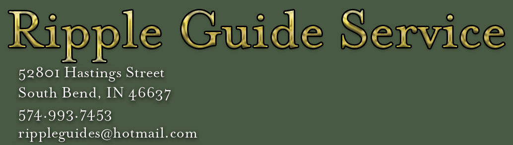 Ripple Guide Serice